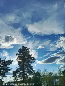 Солнечная заводь - 10