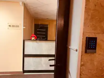 Типичный Питер - 54