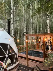 Рассвет - 41