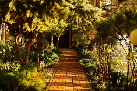 Александр - 49