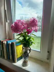 Дом с баней в деревне Горы - 13