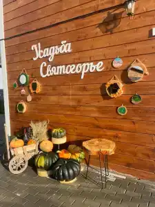 Усадьба Святогорье в Подгорново - 5