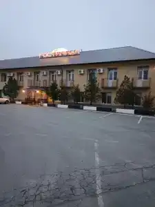 Пичуга - 1