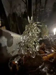 ПриродаРОДА - 39