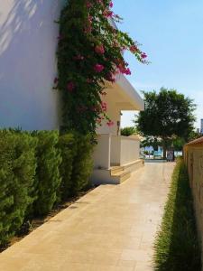 Zest Exclusive & Spa - 17