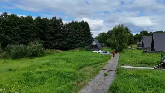 Ольха - 9