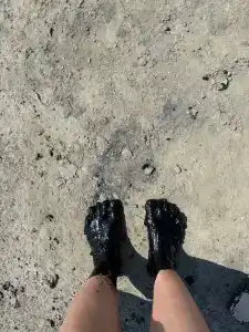 Коттедж, море, дельфины - 18