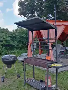 Королевская звезда - 31