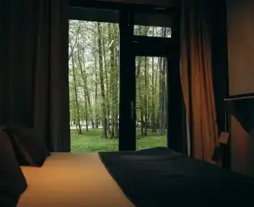 Гуси-Лебеди - 13