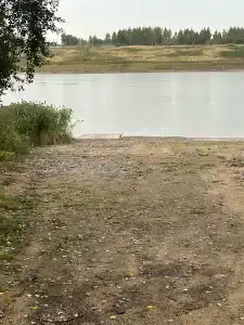 Соколино - 58