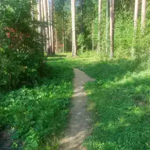 Малые Чертаны - 14