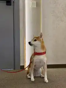 Тет-а-Тет - 34