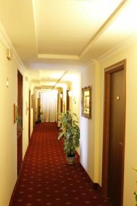 Ostello Bello Roma Colosseo - 39