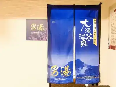 Livemax Resort Hakone-Sengokuhara - 26