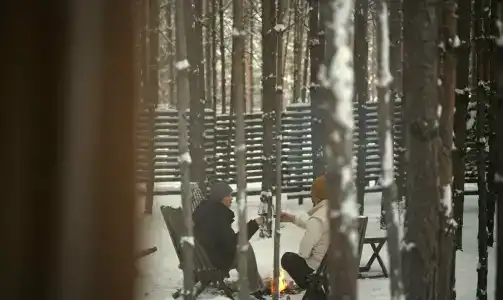 Место под соснами - 13
