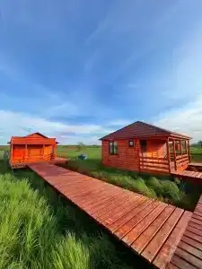 Пролосось - 0