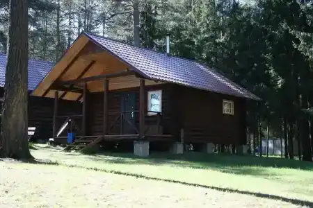 Аист - 4