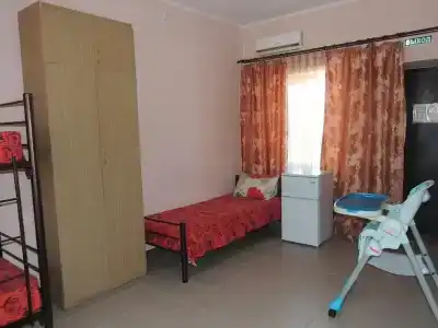 Новый - 3