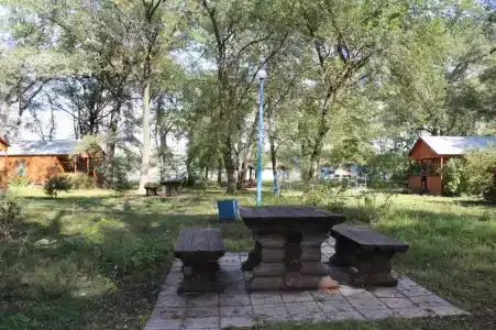 Искра - 8