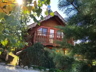 Жемчужина Арпата - 47
