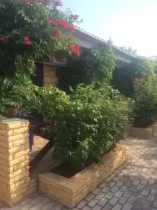 Казантипская хижина - 67