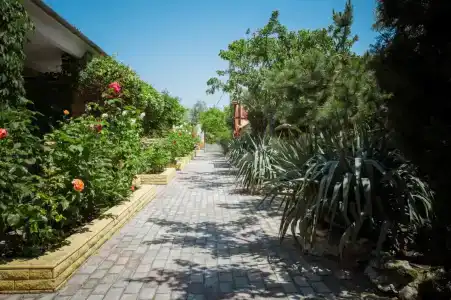 Казантипская хижина - 10