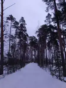 Прометей - 15