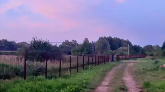 Палан - 19