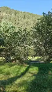 Ологужан - 47