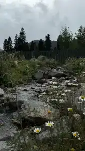 Troodos park - 9