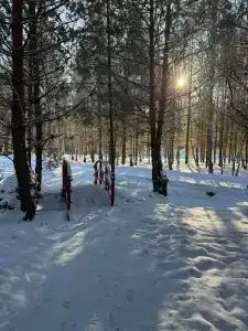 Липландия - 20