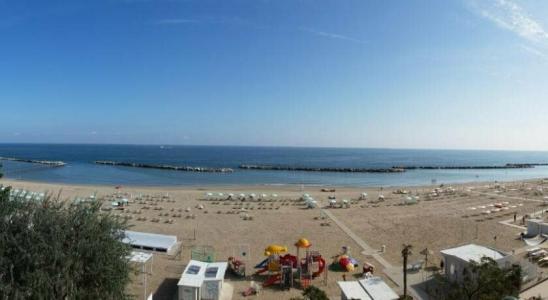 Platinum - 39