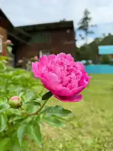 Белый Дракон - 4