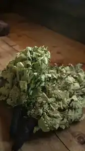 Трофимов Берег - 72