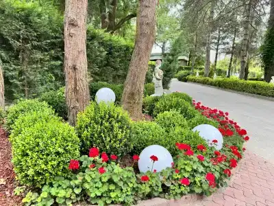 NG Sapanca Wellness & Convention - 4