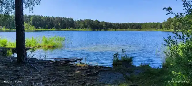 Турбаза завода им. Фрунзе - 0
