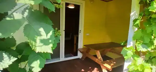 Радхарани - 24