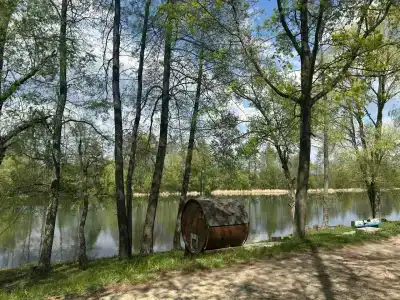 Зеленая роща - 8