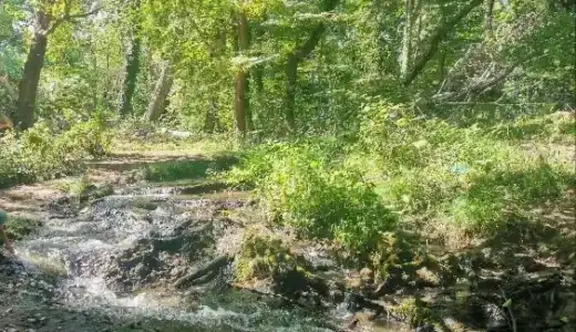 Самурский рай - 36