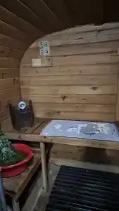 Алтайские звездочки - 32