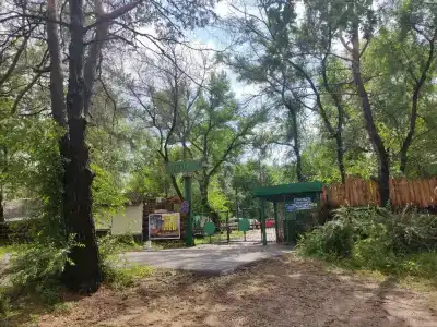 Лесовичок - 19