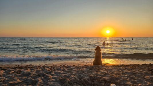 Лазурный - 27