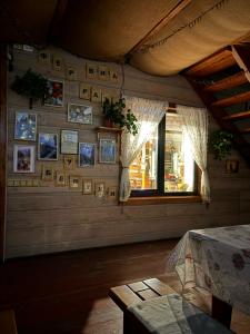 Высотник - 19