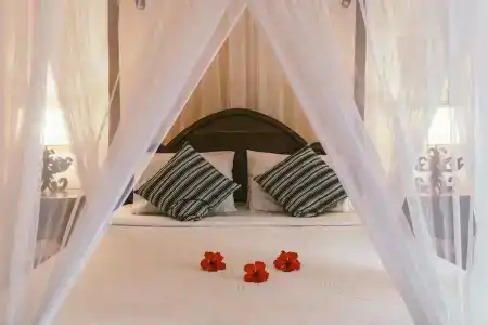 Honeymoon - 46