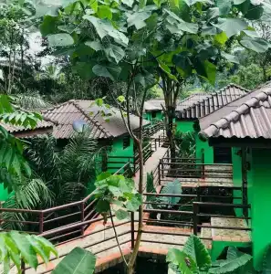 Khao sok river&jungle resort - 46
