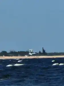 Енот - 49