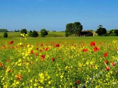 Sammareier Gutshof - 5