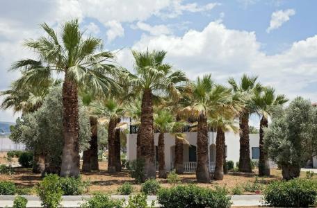 Eretria & Spa Resort - 11