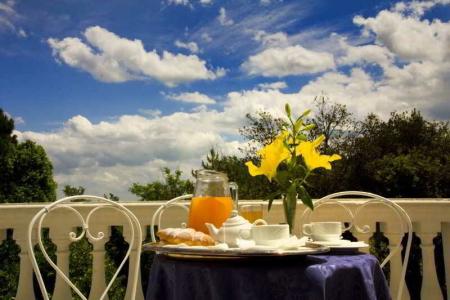 Alexander Palme - 10