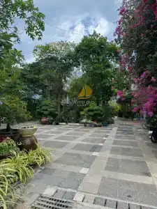 Vela Phu Quoc Resort - 33